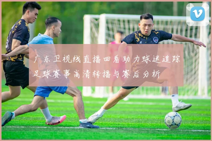 广东卫视线直播回看助力球迷追踪足球赛事高清转播与赛后分析